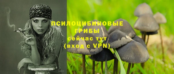 трава Зерноград
