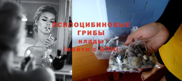 трава Зерноград