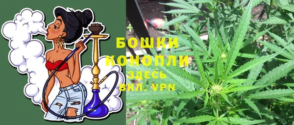 трава Зерноград