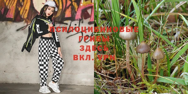 ешки Зеленодольск