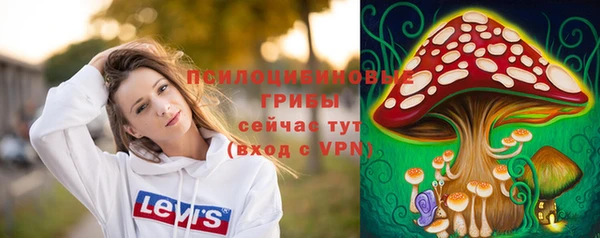 2c-b Зеленокумск