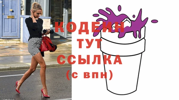 2c-b Инта